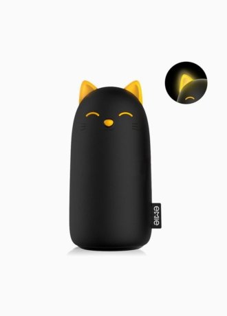 Portable Battery
