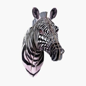 Horse Head